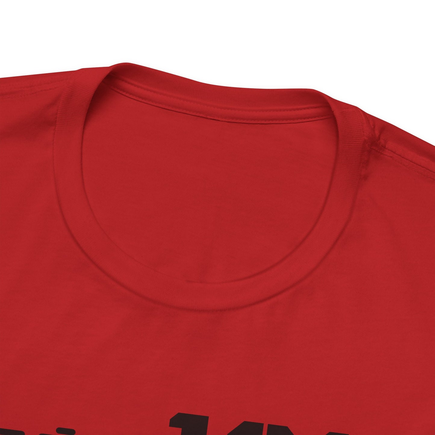 Established 1991 Unisex Jersey Tee | Vintage Anniversary Gift | Casual Wear, Birthday Shirt, Retro Style, Statement Tee, Gift for Him/Her