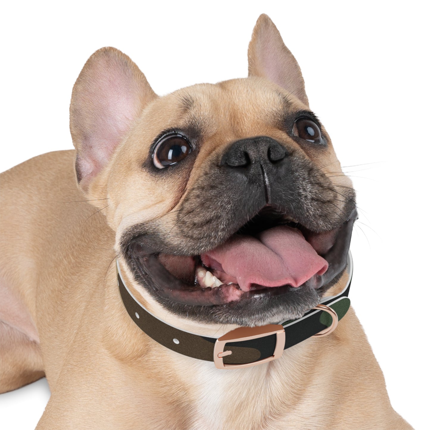 Stylish Camouflage Dog Collar - Personalized Pet Gift, Durable Adjustable Leash, Unique Dog Accessory, Pet Fashion