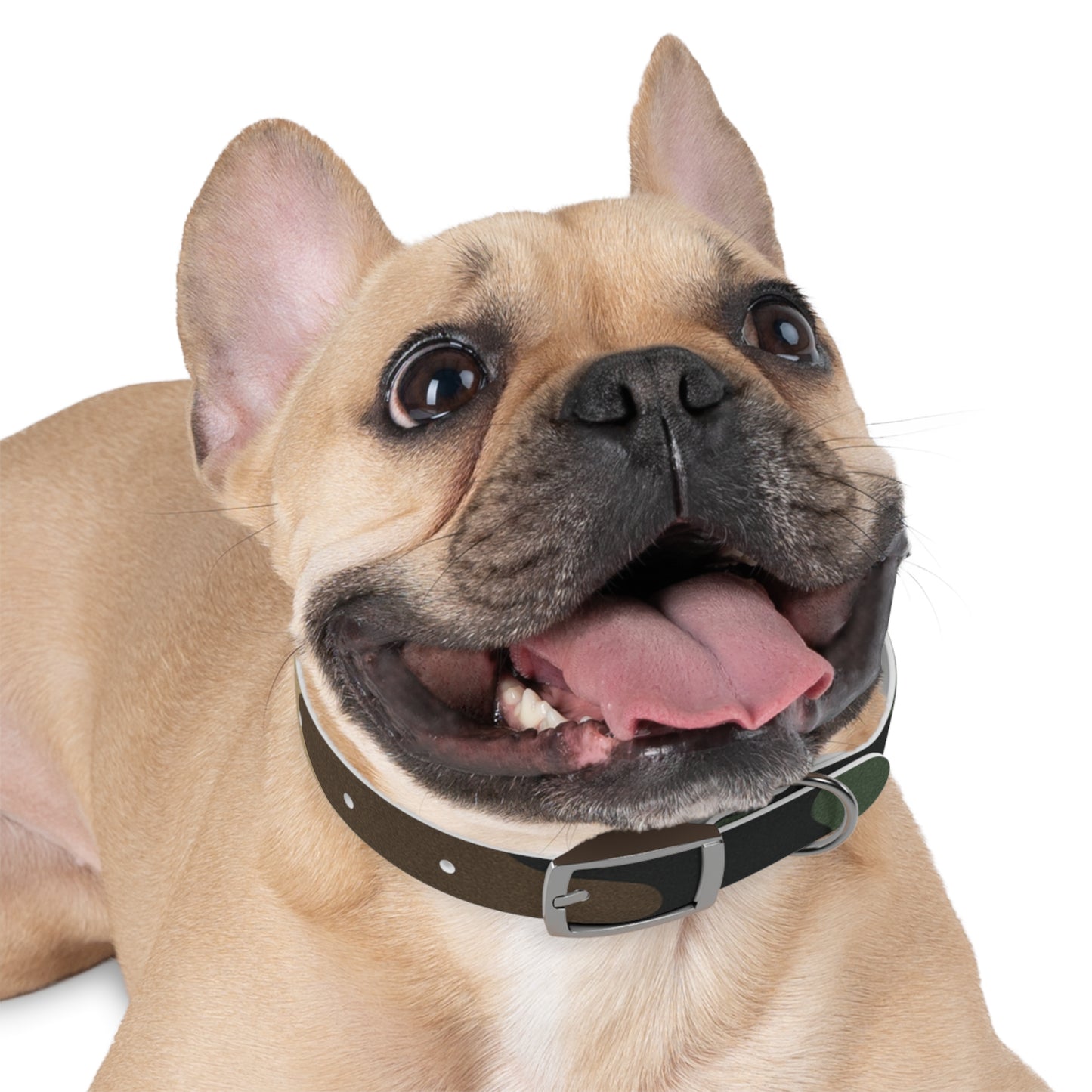 Stylish Camouflage Dog Collar - Personalized Pet Gift, Durable Adjustable Leash, Unique Dog Accessory, Pet Fashion