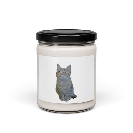 Cat-Themed Scented Soy Candle - 9oz - Perfect for Cat Lovers