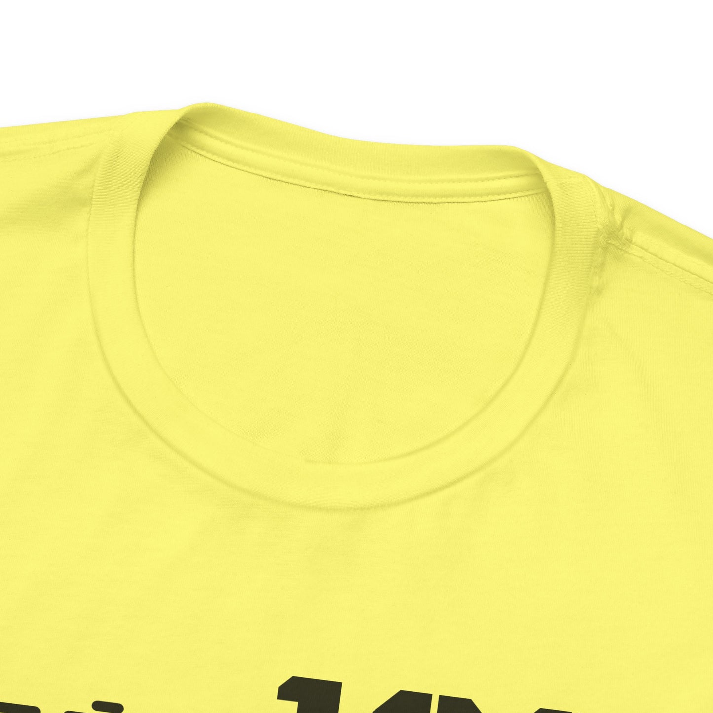 Established 1991 Unisex Jersey Tee | Vintage Anniversary Gift | Casual Wear, Birthday Shirt, Retro Style, Statement Tee, Gift for Him/Her