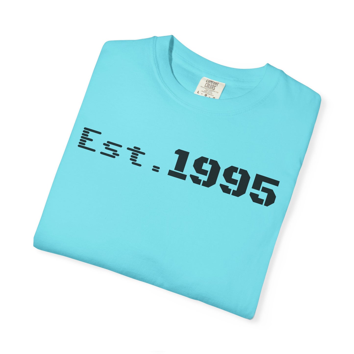 Vintage Est. 1995 T-Shirt, Retro Unisex Tee, Perfect Gift for Birthdays, Casual Wear, Nostalgic Apparel