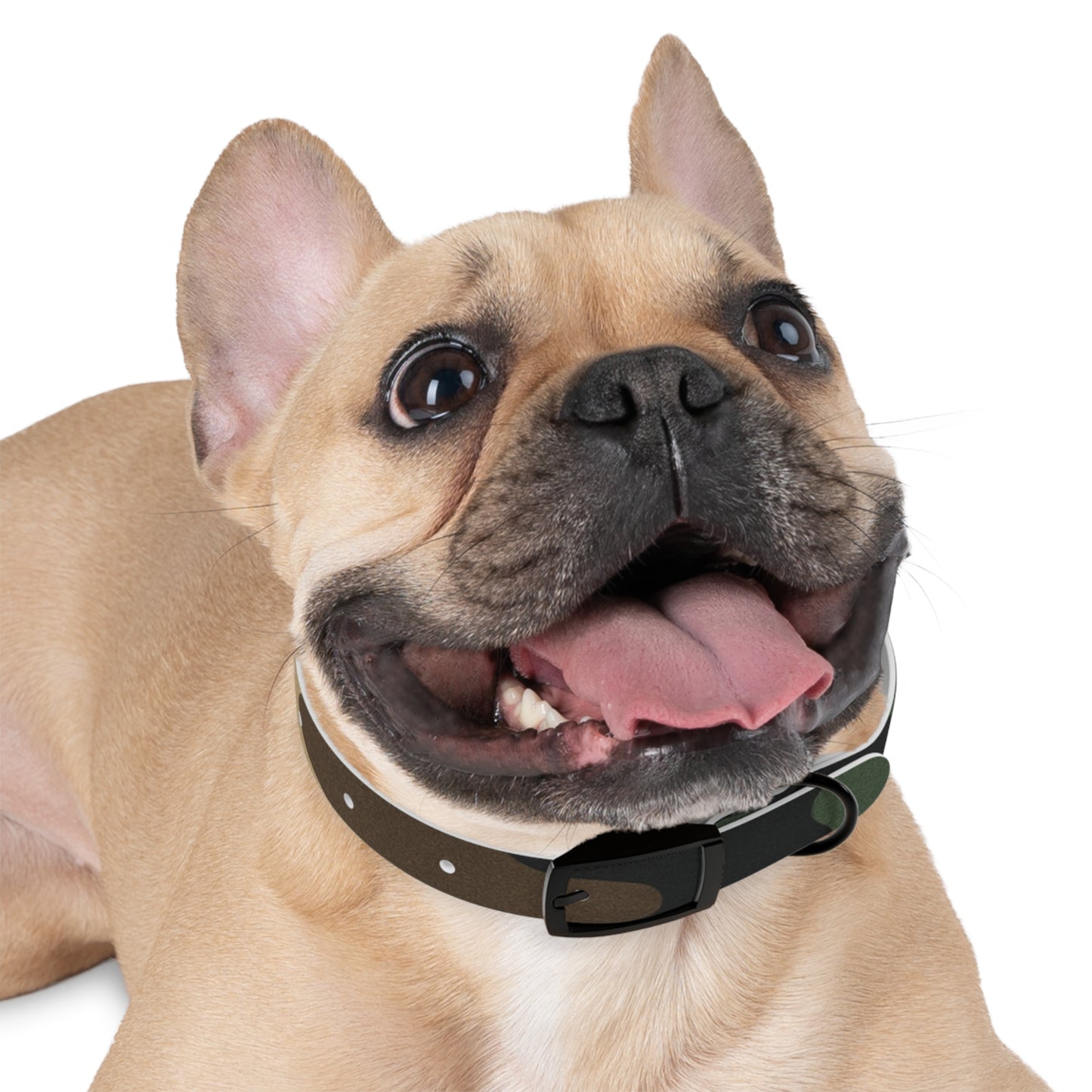 Stylish Camouflage Dog Collar - Personalized Pet Gift, Durable Adjustable Leash, Unique Dog Accessory, Pet Fashion