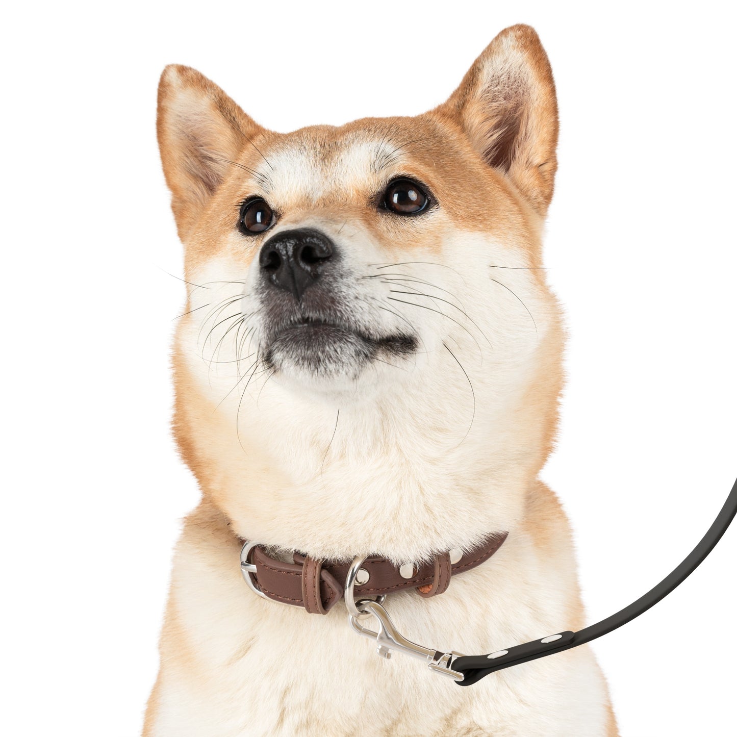 Stylish Dog Leash for Active Pet Owners, Dog Walking Gear, Pet Accessories, Camo Print Leash, Stylish Leash for Dogs - product image