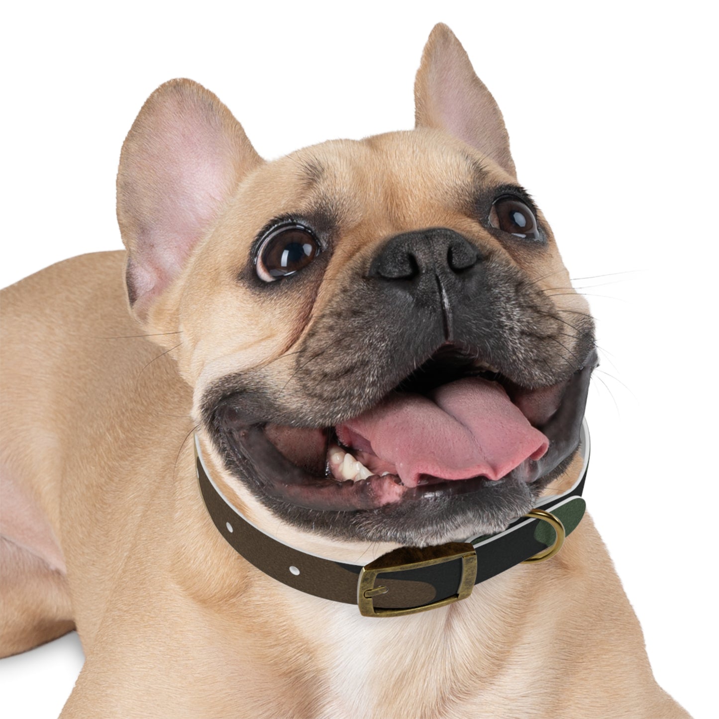 Stylish Camouflage Dog Collar - Personalized Pet Gift, Durable Adjustable Leash, Unique Dog Accessory, Pet Fashion