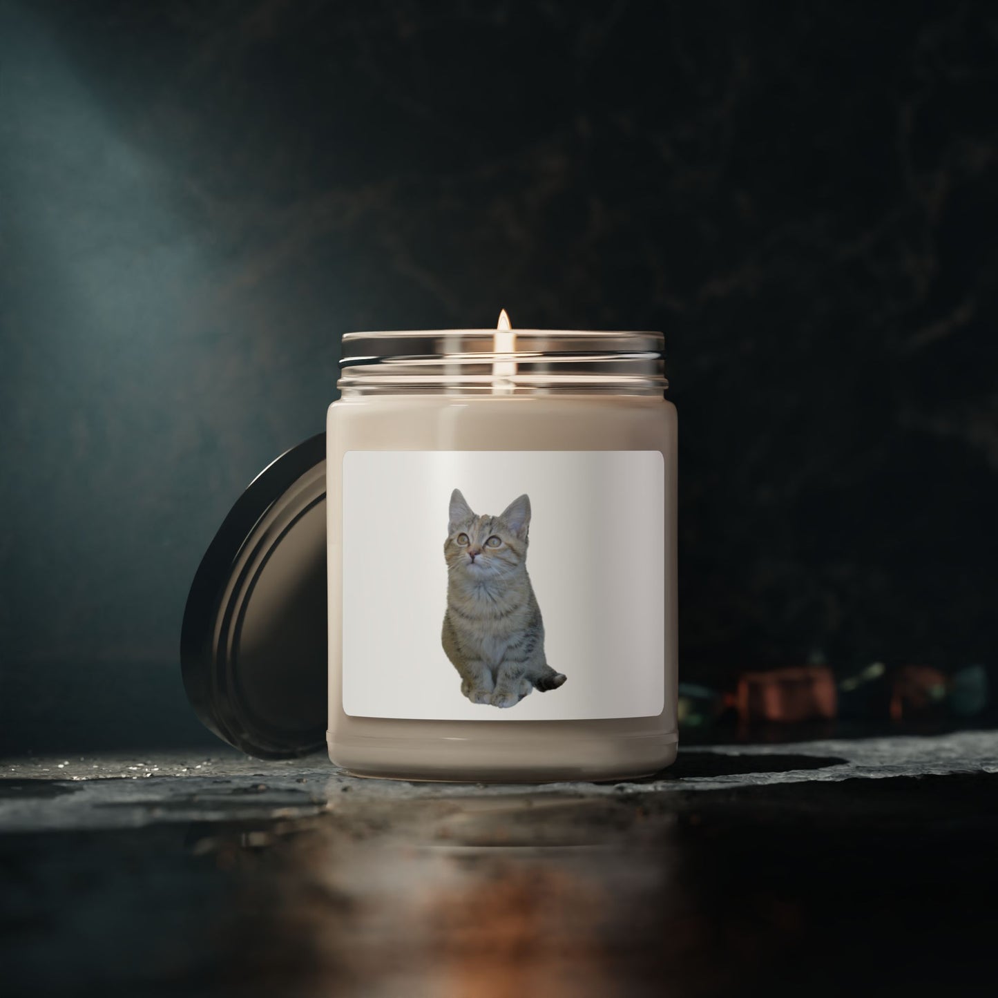 Cat-Themed Scented Soy Candle - 9oz - Perfect for Cat Lovers