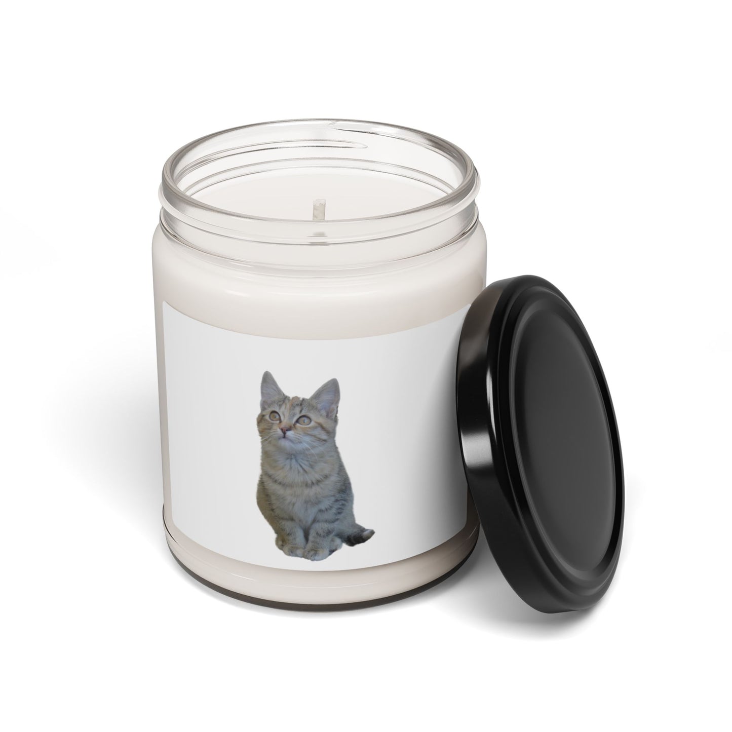 Cat-Themed Scented Soy Candle - 9oz - Perfect for Cat Lovers