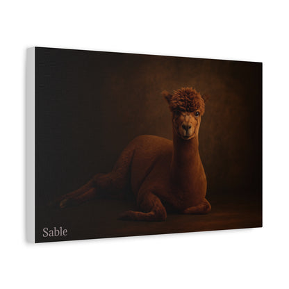 Alpaca Portrait Matte Canvas