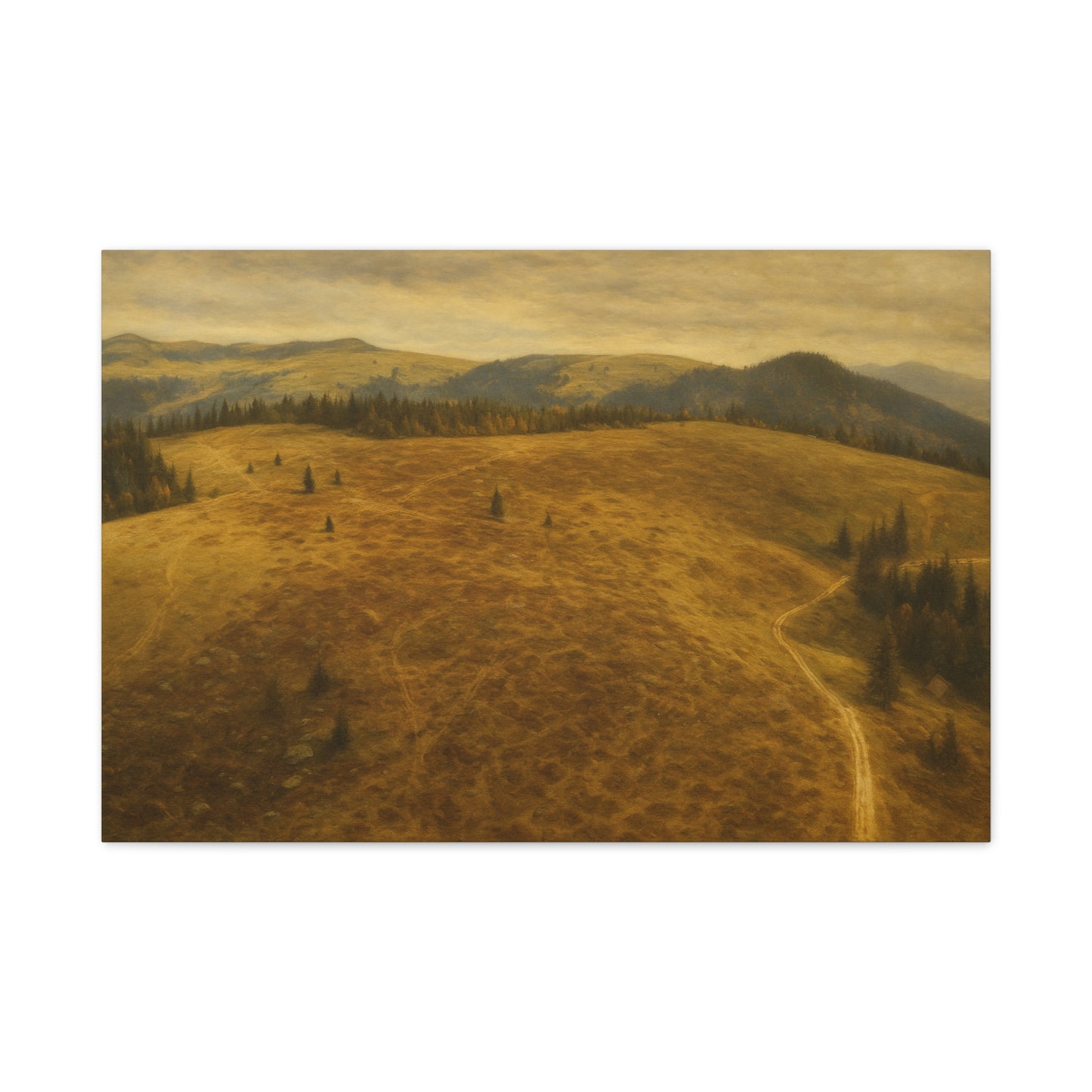 Stretched Canvas Art Print, Landscape Wall Decor, Nature Photography, Rustic Home Decor, Gifting, Earthy Art