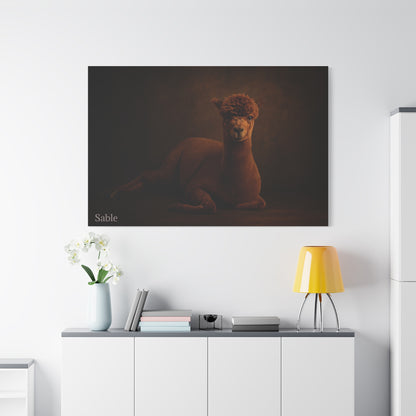 Alpaca Portrait Matte Canvas