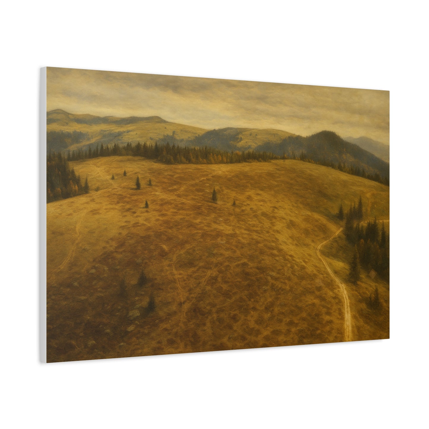 Stretched Canvas Art Print, Landscape Wall Decor, Nature Photography, Rustic Home Decor, Gifting, Earthy Art