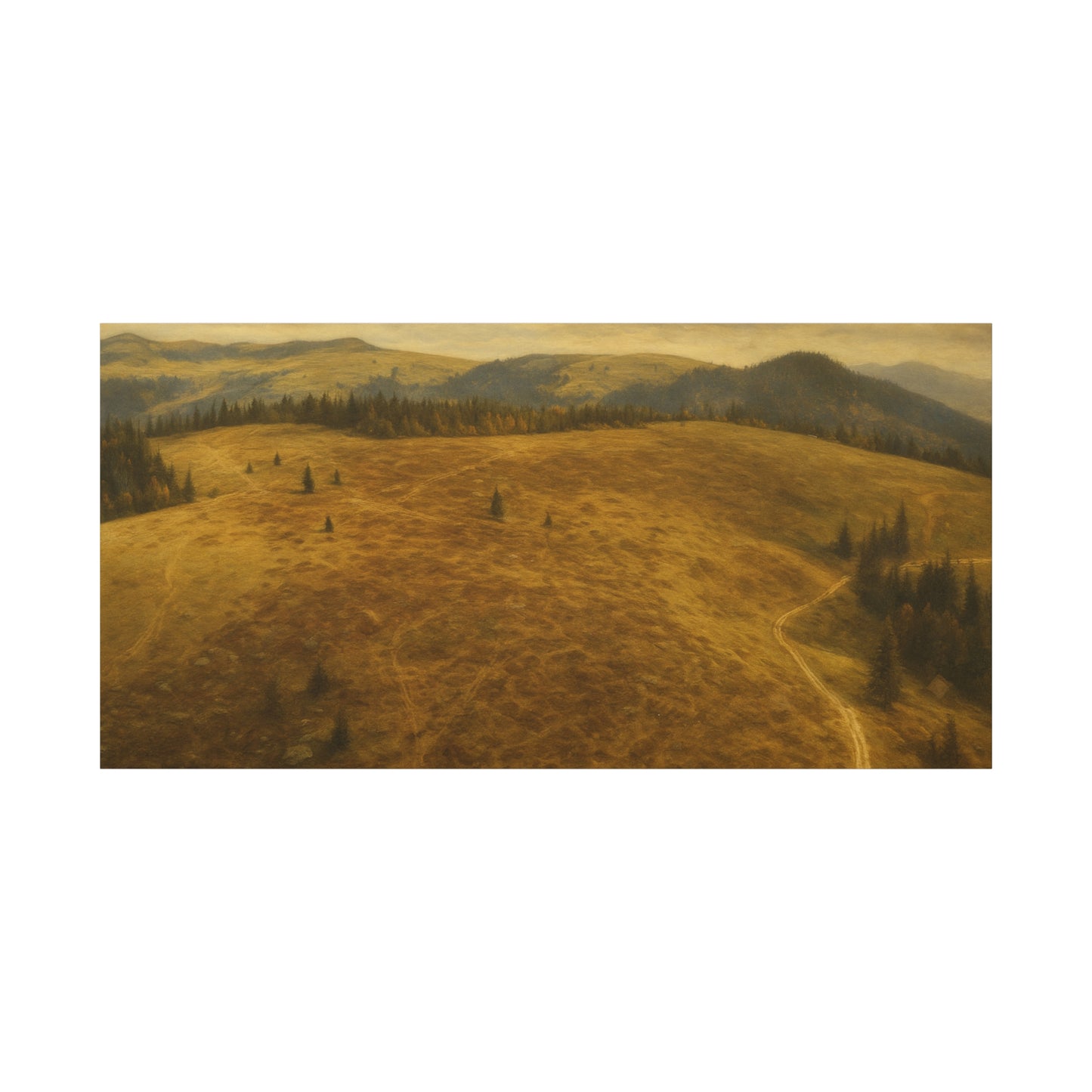 Stretched Canvas Art Print, Landscape Wall Decor, Nature Photography, Rustic Home Decor, Gifting, Earthy Art