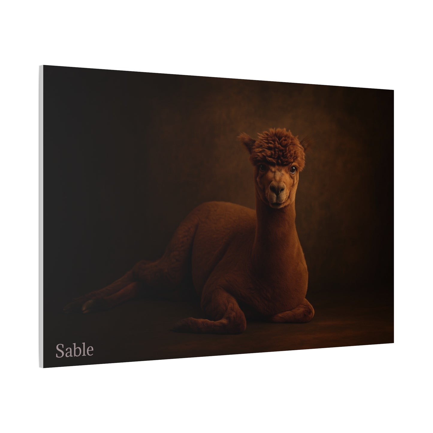 Alpaca Portrait Matte Canvas