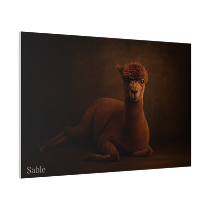Alpaca Portrait Matte Canvas