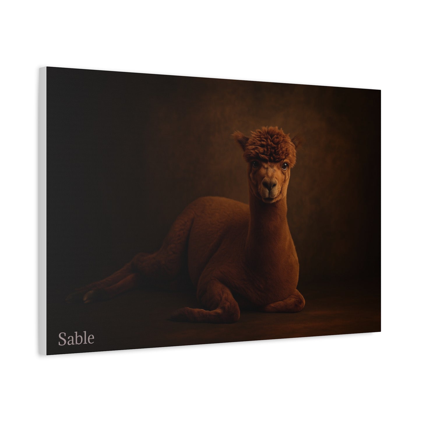 Alpaca Portrait Matte Canvas