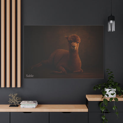 Alpaca Portrait Matte Canvas