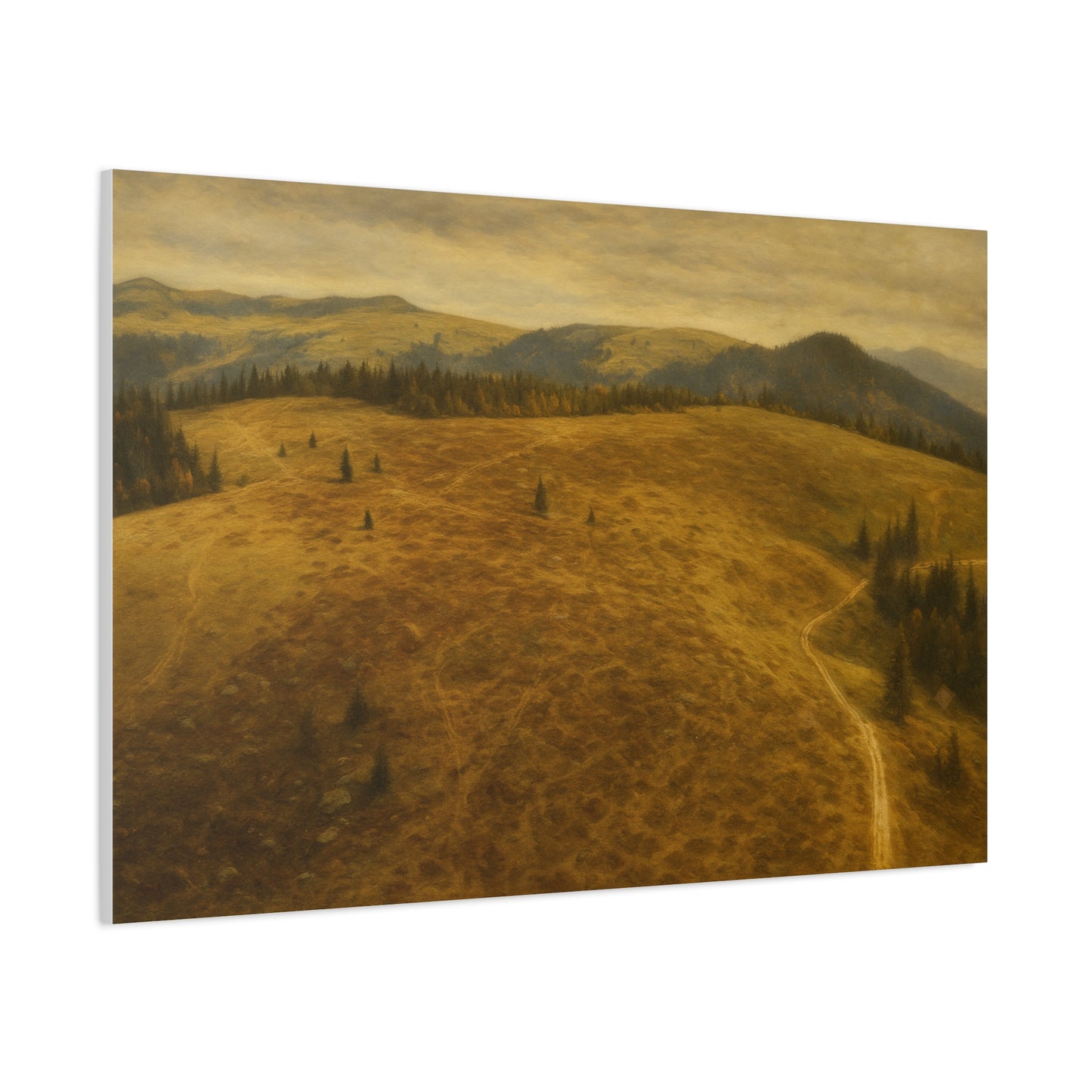 Stretched Canvas Art Print, Landscape Wall Decor, Nature Photography, Rustic Home Decor, Gifting, Earthy Art