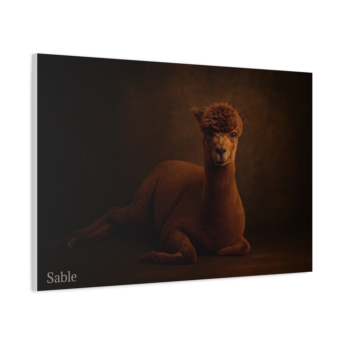 Alpaca Portrait Matte Canvas