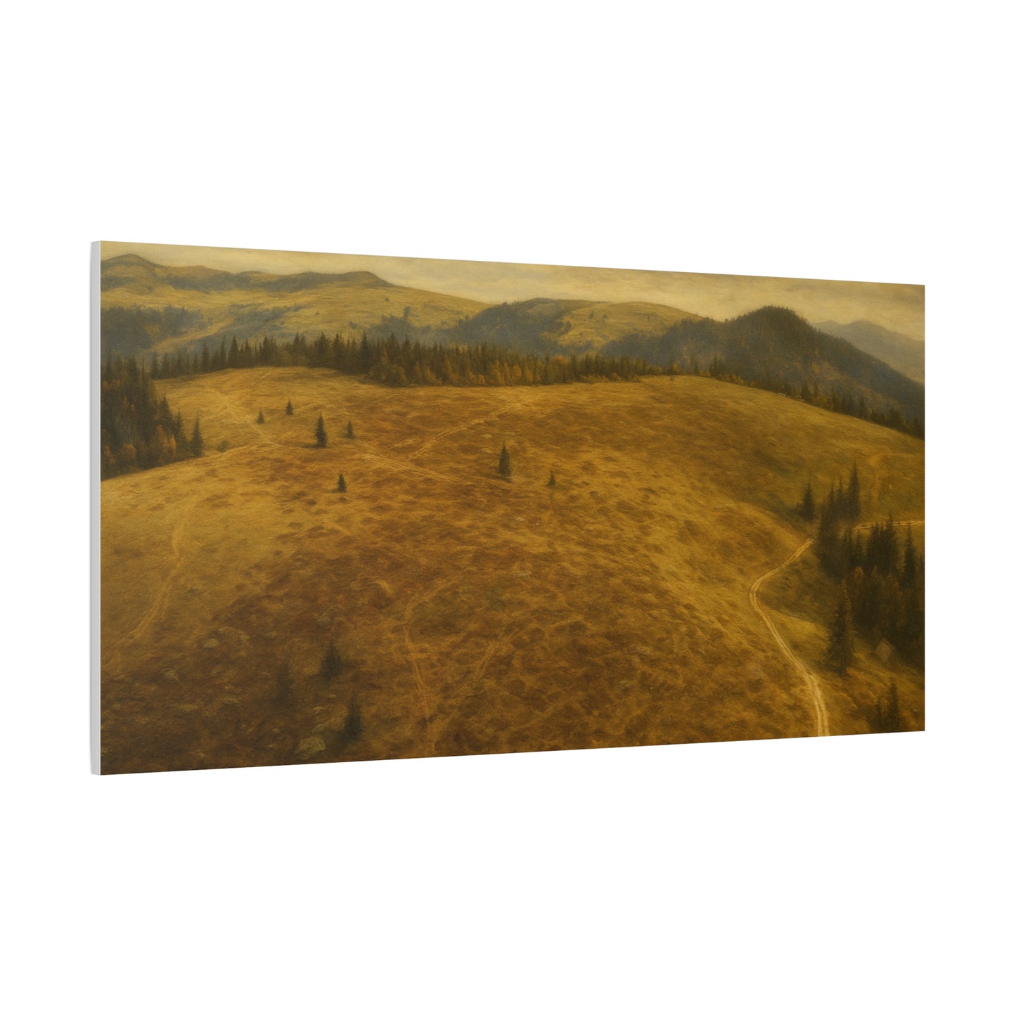 Stretched Canvas Art Print, Landscape Wall Decor, Nature Photography, Rustic Home Decor, Gifting, Earthy Art