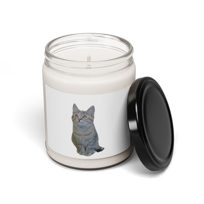 Cat-Themed Scented Soy Candle - 9oz - Perfect for Cat Lovers