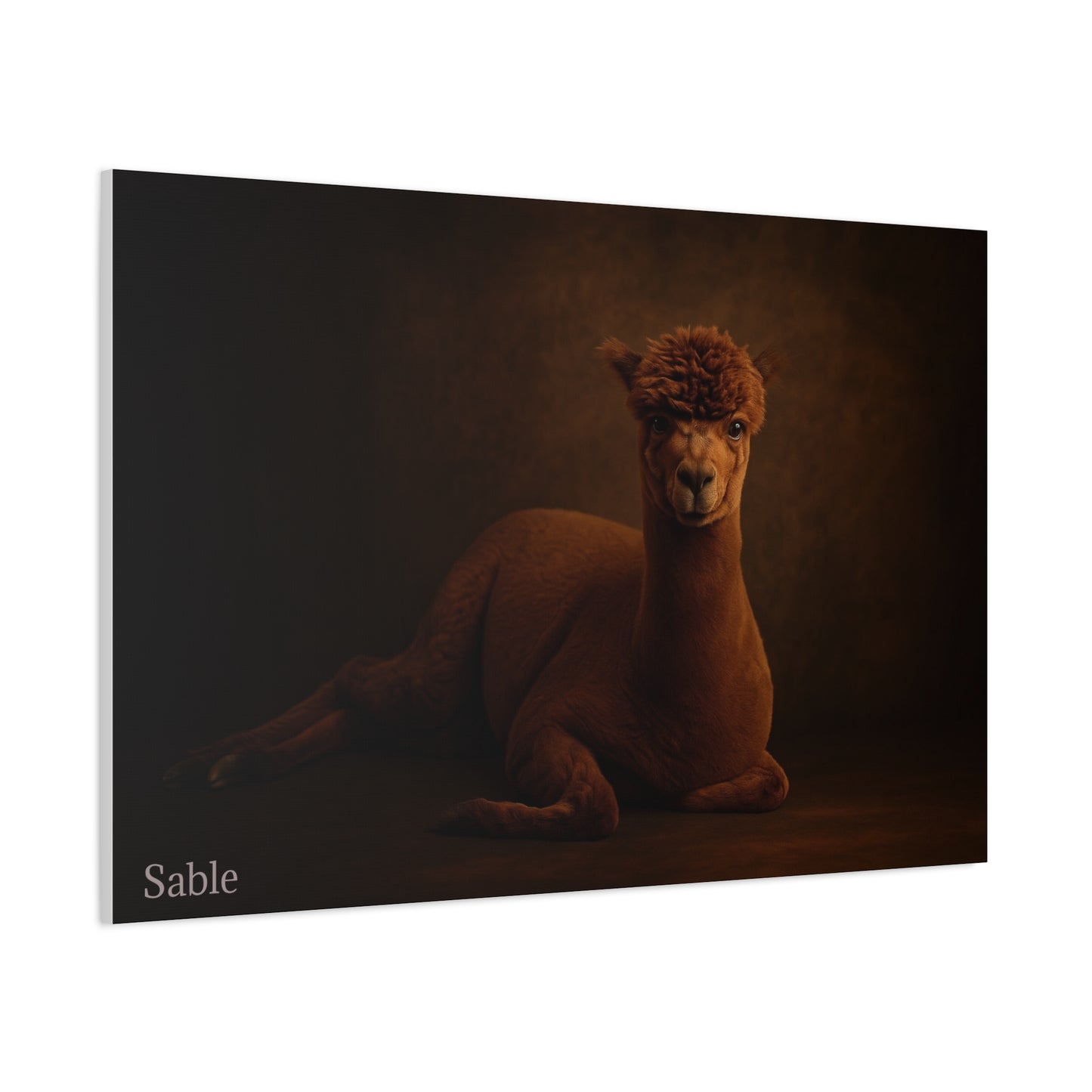Alpaca Portrait Matte Canvas